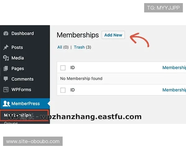 abg欧博会员登录官网账号密码忘记怎么办，详细找回指南分享