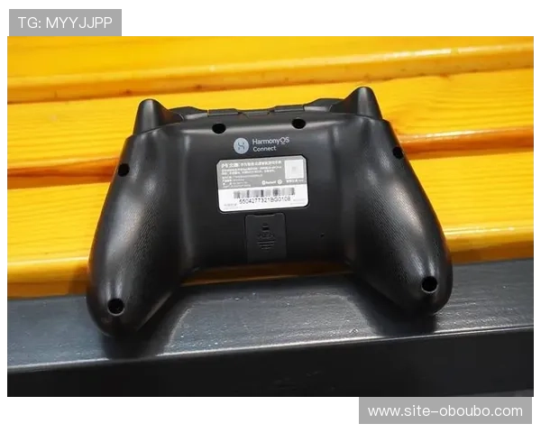 欧博平台登录入口免费支持多设备登录让你随时随地畅玩网络游戏